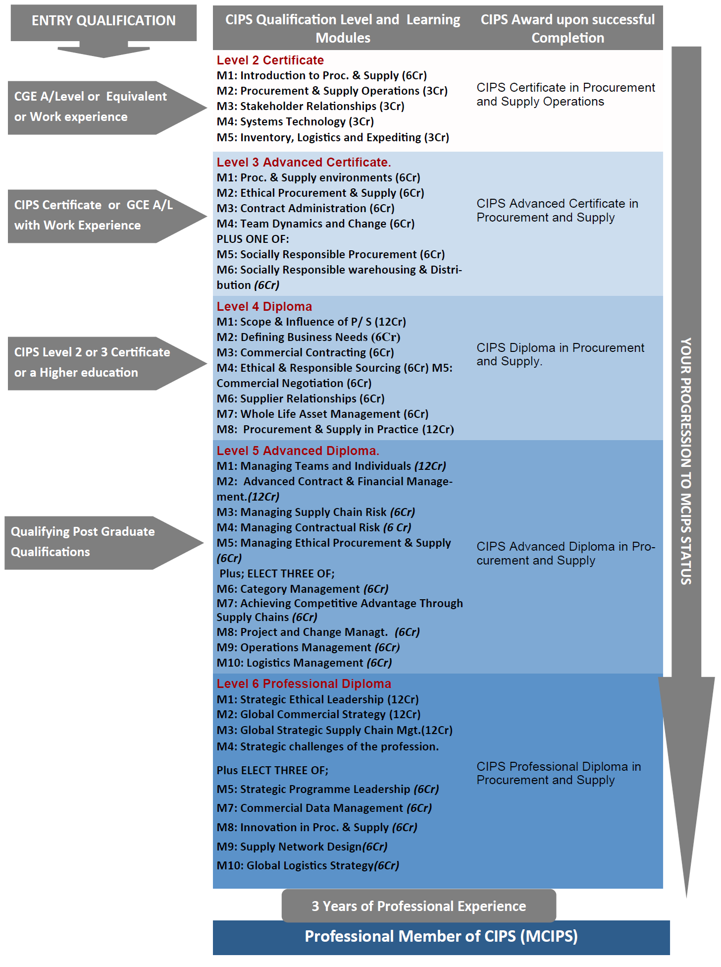 The Chartered Institute of Procurement and Supply (CIPS)1